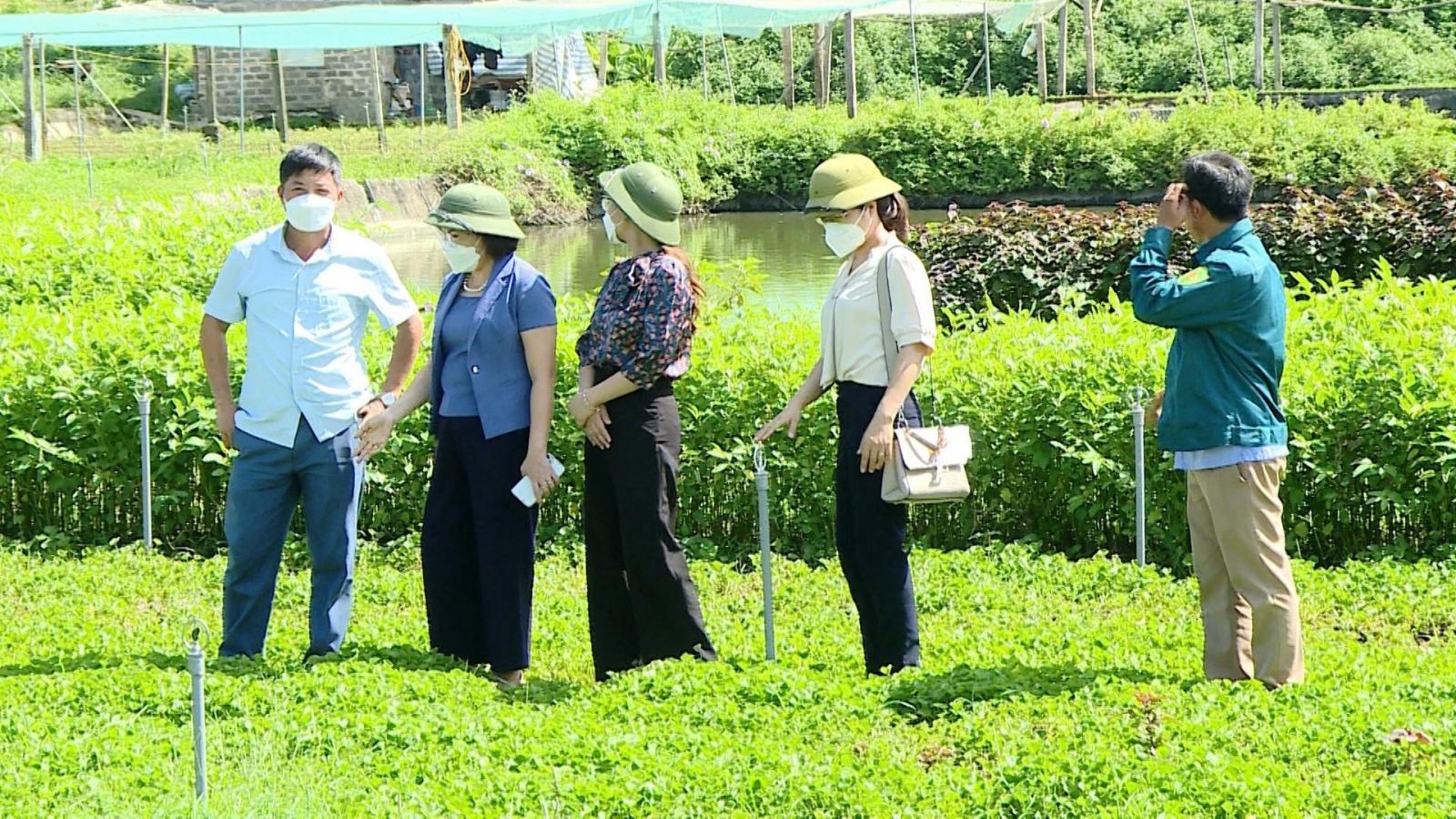 Chuỗi liên kết - Sự phát triển bền vững cho các hợp tác xã