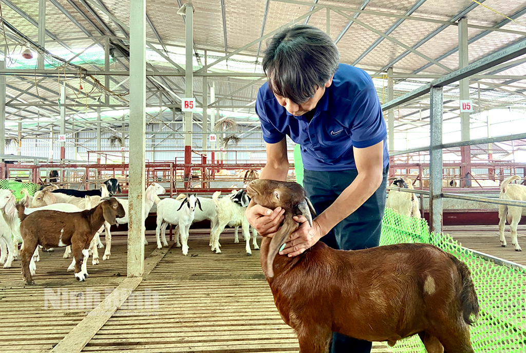 Hỗ trợ các HTX mới thành lập